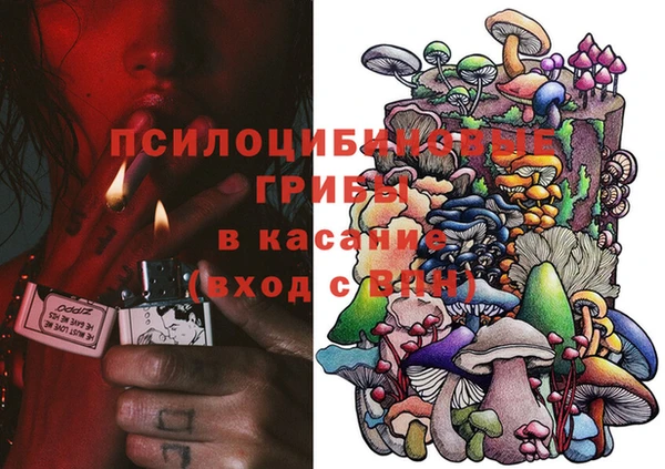 спиды Алексеевка