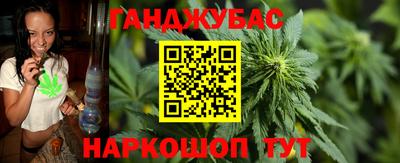 МДПВ Дубна