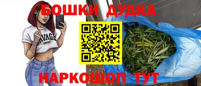 МДПВ Дубна