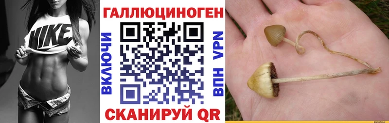 Галлюциногенные грибы MAGIC MUSHROOMS  где найти   блэк спрут ссылка  Нижневартовск 
