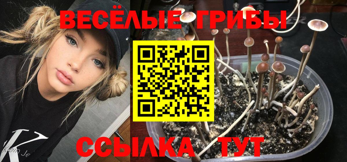 Псилоцибиновые грибы Magic Shrooms Нижневартовск