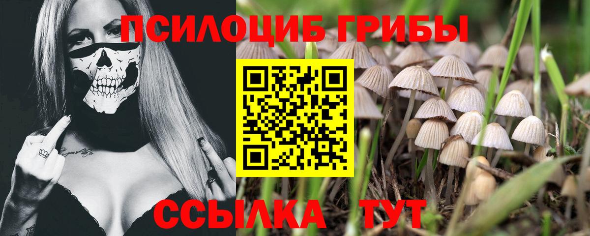 Псилоцибиновые грибы ЛСД  Вход с VPN  Нижневартовск 